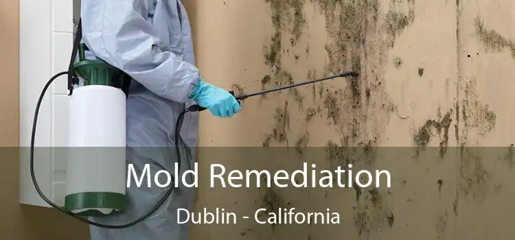 Mold Remediation Dublin - California