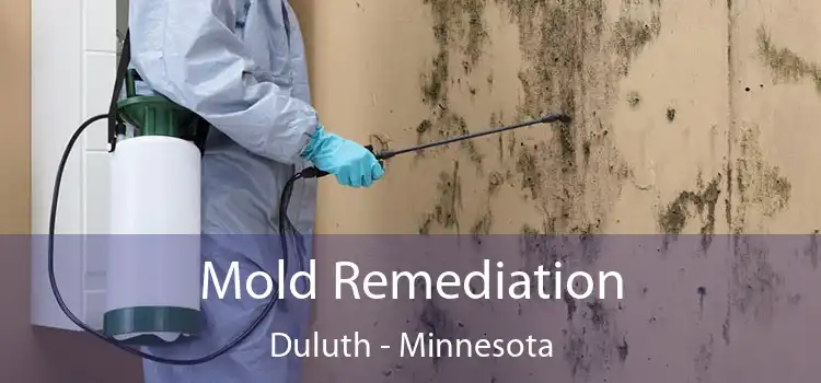 Mold Remediation Duluth - Minnesota