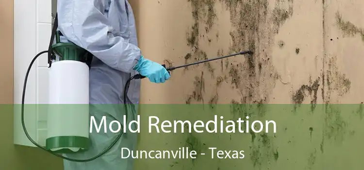 Mold Remediation Duncanville - Texas