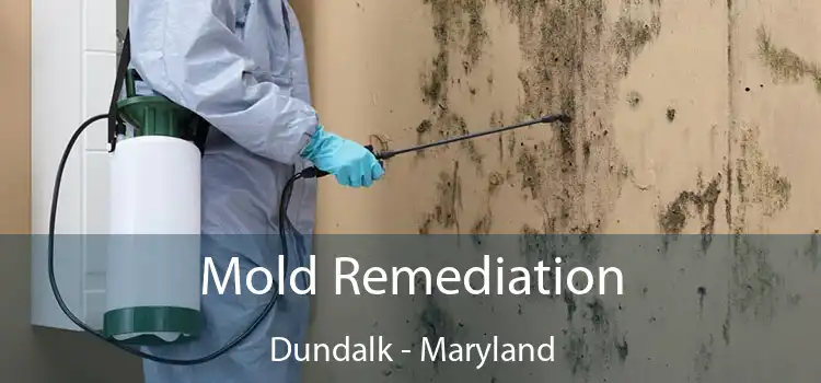 Mold Remediation Dundalk - Maryland