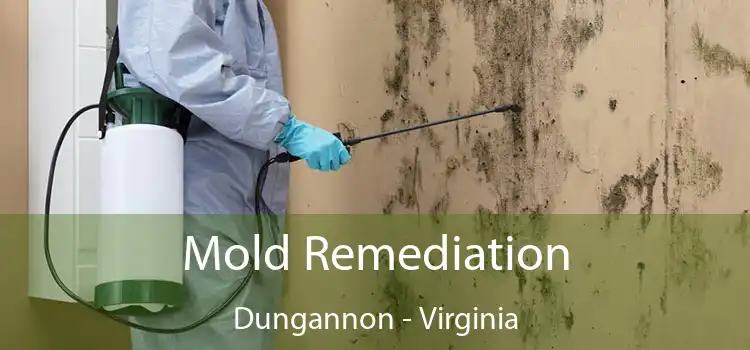 Mold Remediation Dungannon - Virginia