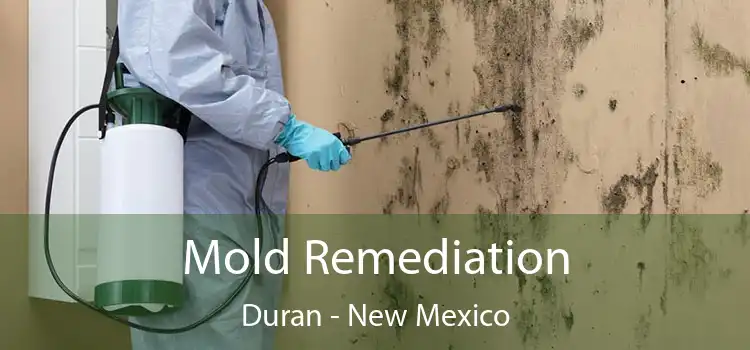 Mold Remediation Duran - New Mexico