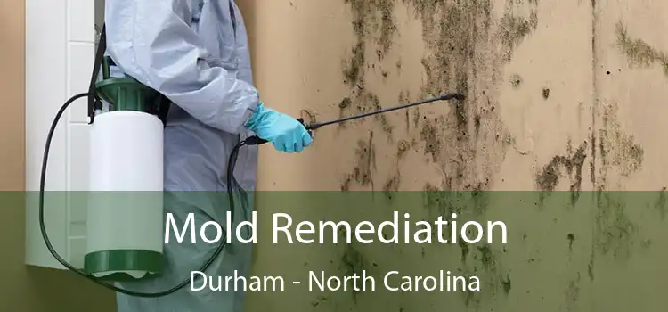 Mold Remediation Durham - North Carolina