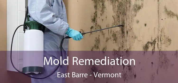 Mold Remediation East Barre - Vermont