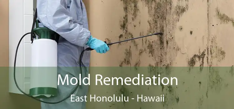 Mold Remediation East Honolulu - Hawaii