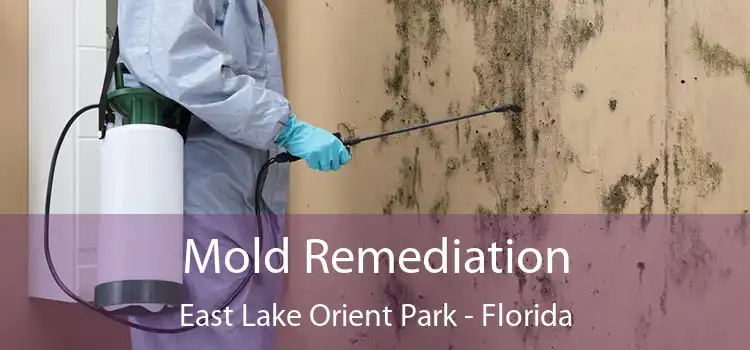 Mold Remediation East Lake Orient Park - Florida