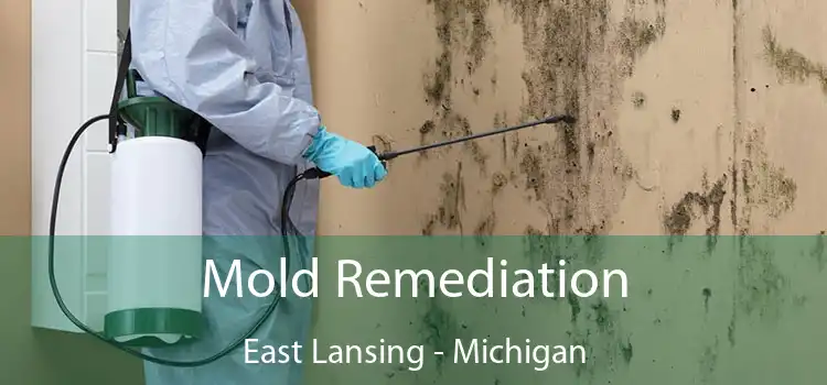 Mold Remediation East Lansing - Michigan