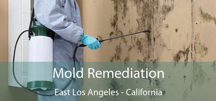 Mold Remediation East Los Angeles - California