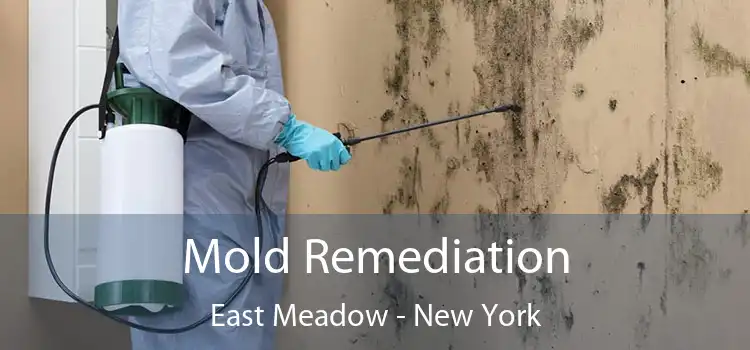 Mold Remediation East Meadow - New York