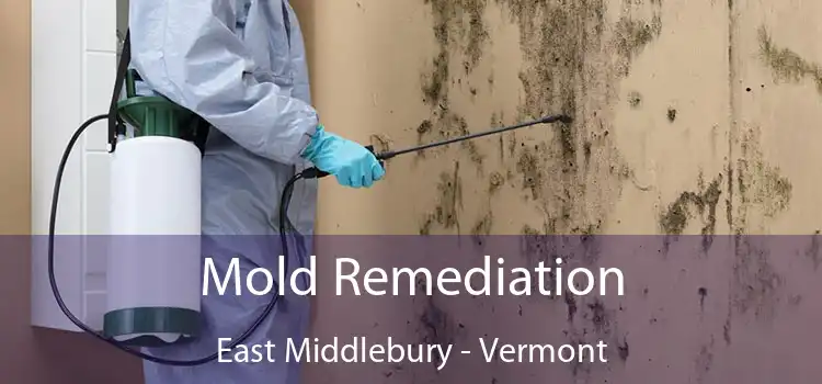 Mold Remediation East Middlebury - Vermont