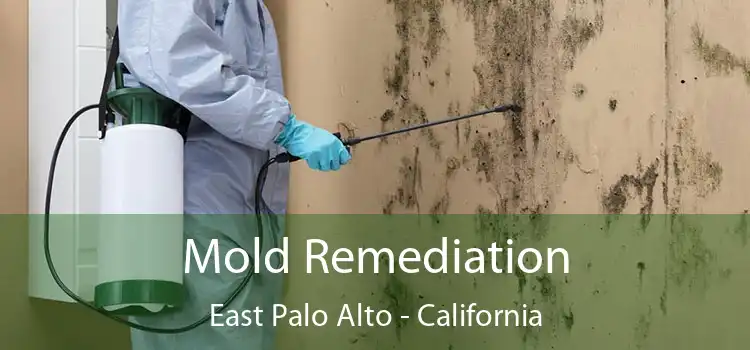 Mold Remediation East Palo Alto - California