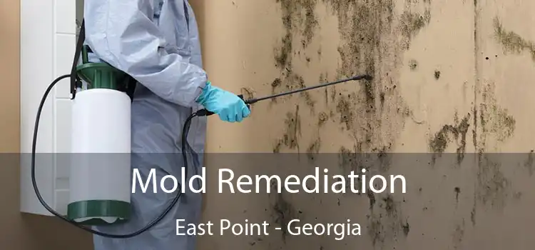 Mold Remediation East Point - Georgia