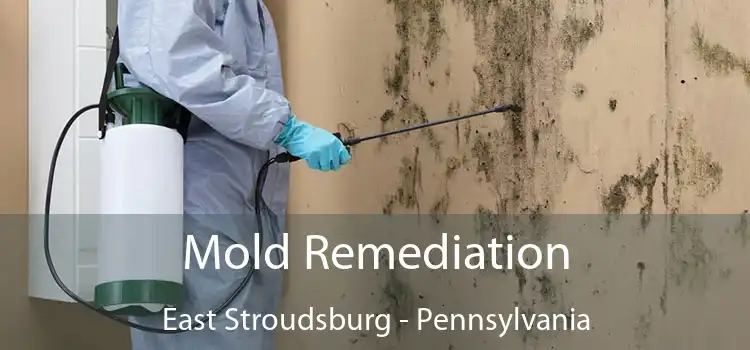 Mold Remediation East Stroudsburg - Pennsylvania