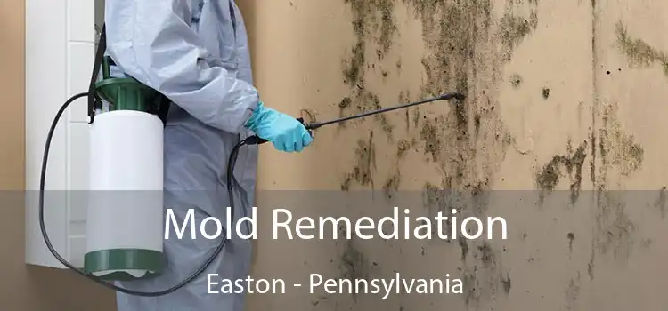 Mold Remediation Easton - Pennsylvania