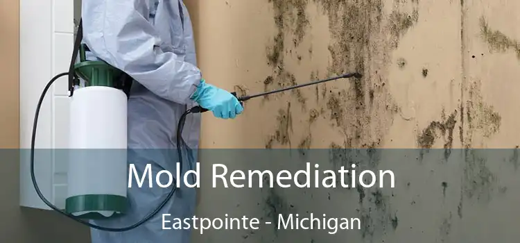 Mold Remediation Eastpointe - Michigan