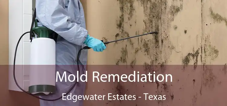 Mold Remediation Edgewater Estates - Texas