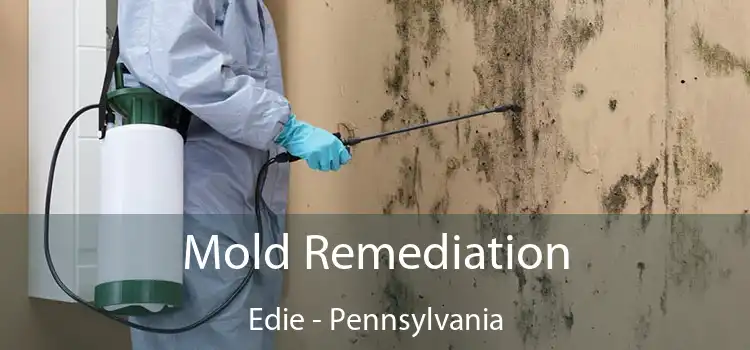 Mold Remediation Edie - Pennsylvania