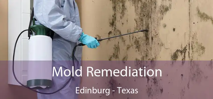 Mold Remediation Edinburg - Texas