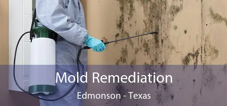 Mold Remediation Edmonson - Texas