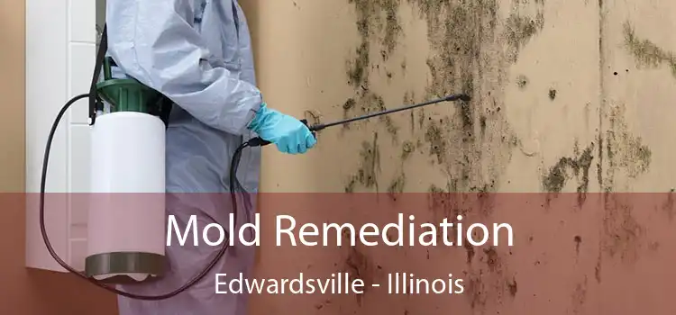 Mold Remediation Edwardsville - Illinois