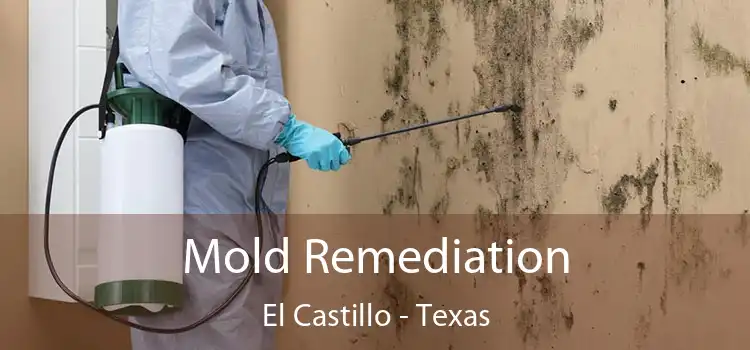 Mold Remediation El Castillo - Texas