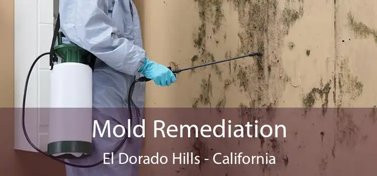 Mold Remediation El Dorado Hills - California