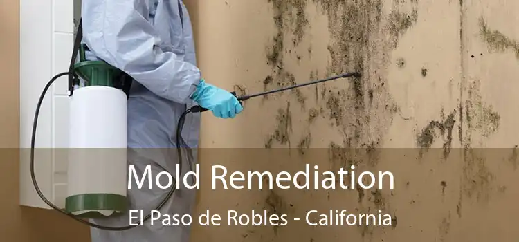 Mold Remediation El Paso de Robles - California