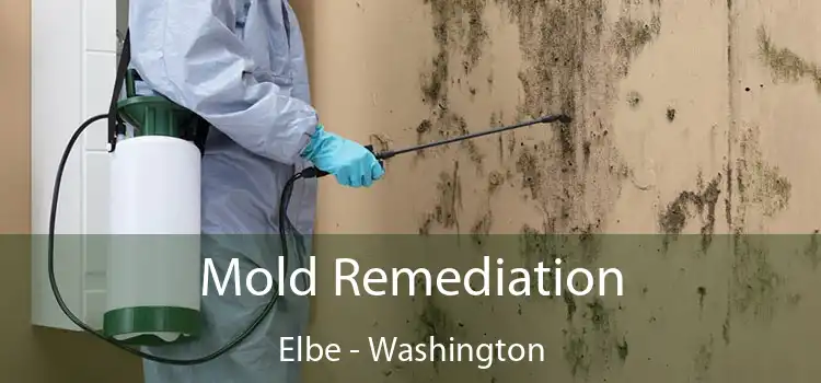 Mold Remediation Elbe - Washington