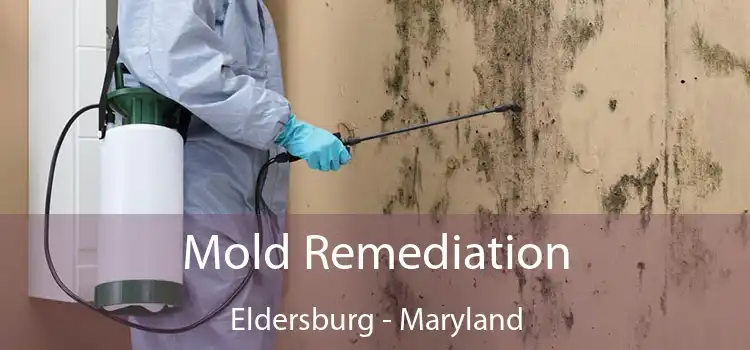 Mold Remediation Eldersburg - Maryland