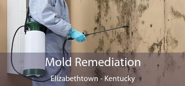 Mold Remediation Elizabethtown - Kentucky