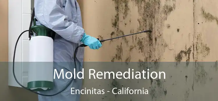 Mold Remediation Encinitas - California