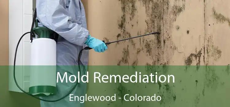 Mold Remediation Englewood - Colorado