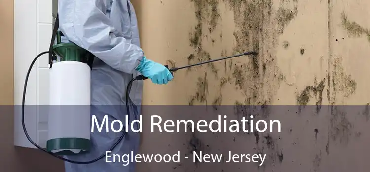 Mold Remediation Englewood - New Jersey