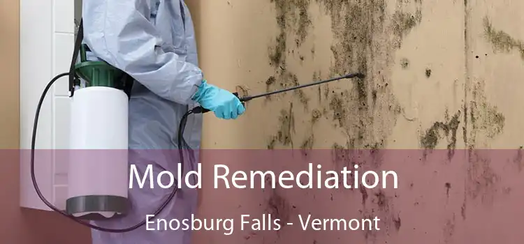 Mold Remediation Enosburg Falls - Vermont