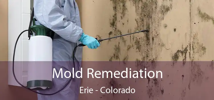 Mold Remediation Erie - Colorado