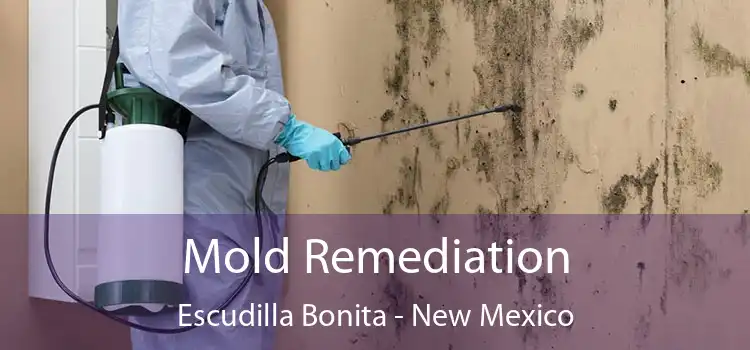 Mold Remediation Escudilla Bonita - New Mexico