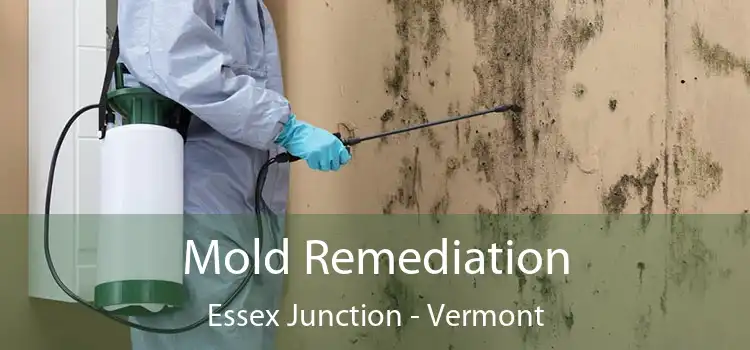 Mold Remediation Essex Junction - Vermont