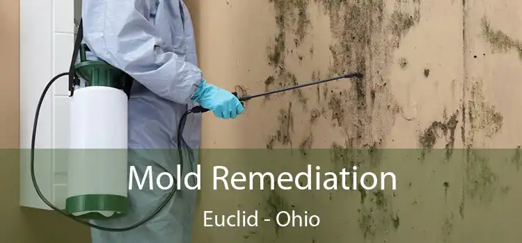 Mold Remediation Euclid - Ohio