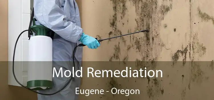 Mold Remediation Eugene - Oregon