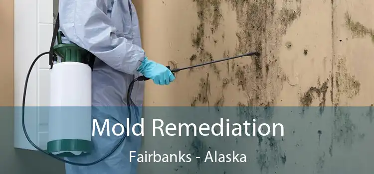 Mold Remediation Fairbanks - Alaska