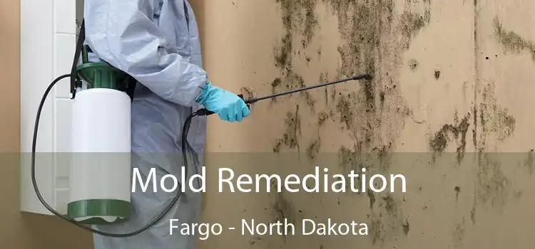 Mold Remediation Fargo - North Dakota