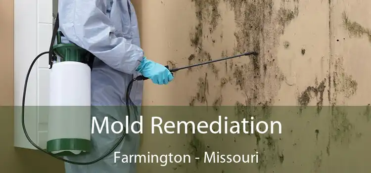 Mold Remediation Farmington - Missouri