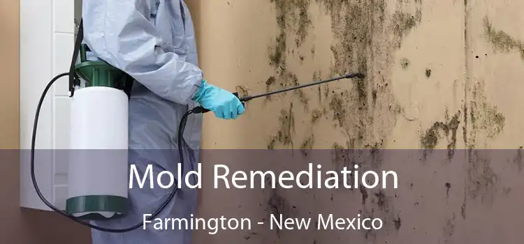 Mold Remediation Farmington - New Mexico