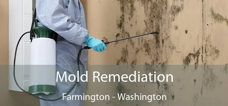 Mold Remediation Farmington - Washington