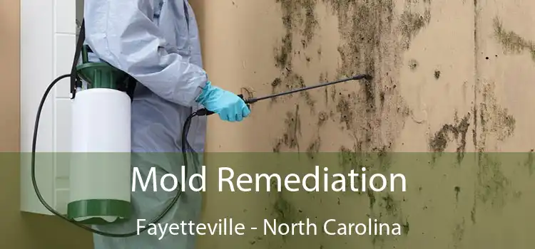 Mold Remediation Fayetteville - North Carolina