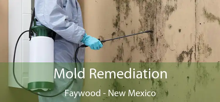 Mold Remediation Faywood - New Mexico