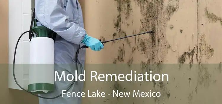 Mold Remediation Fence Lake - New Mexico