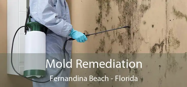 Mold Remediation Fernandina Beach - Florida