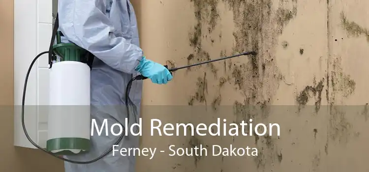 Mold Remediation Ferney - South Dakota