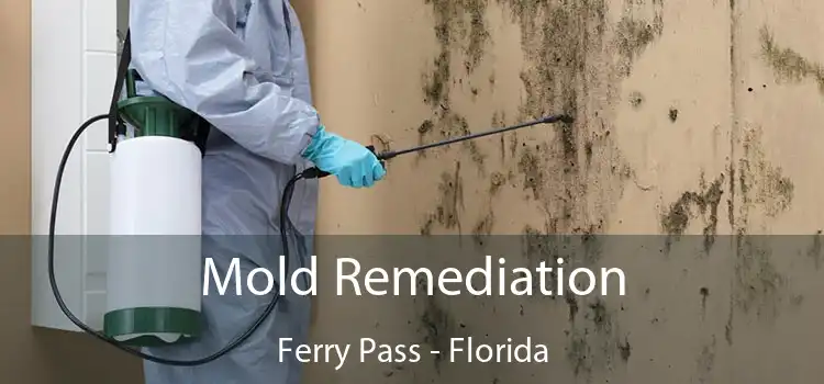 Mold Remediation Ferry Pass - Florida